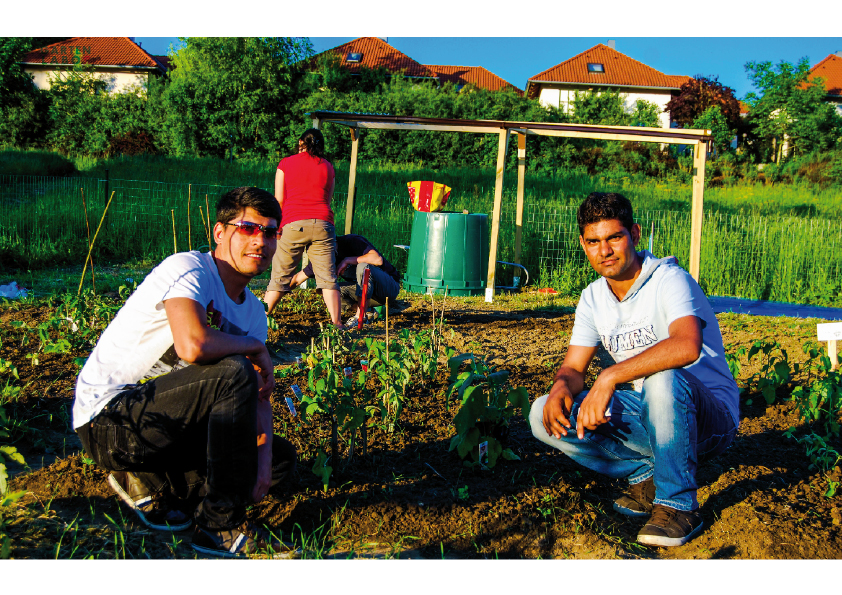 Garten Labor. Asylwerber aus Afghanistan und Syrien.